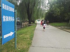 -皇家御河游(紫御湾码头)