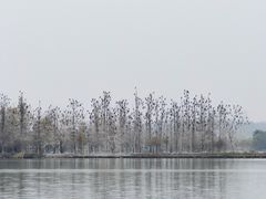 -东湖落雁景区