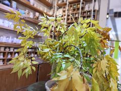 -今日陶艺(富力广场店)