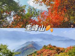 -沣峪口