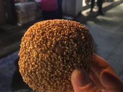 -芙蓉记马蹄烧饼糖酥火烧