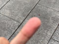 -安天民北方饺子(白石洲店)