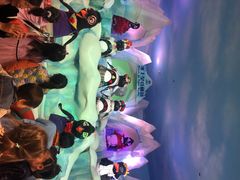 -帝企鹅自助餐厅•儿童岛•真企鹅(长隆企鹅酒店)