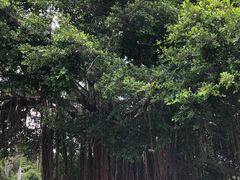 -南京林业大学-图书馆