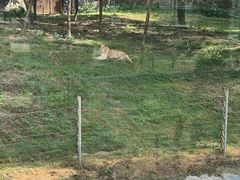 -深圳野生动物园