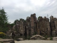 -秀丽东方