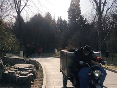 -丰台花园