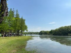 -长广溪湿地公园