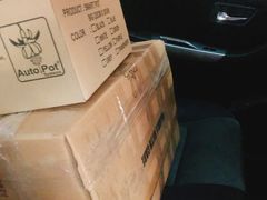 和闺蜜买了两箱子不够分-都念榴莲·城市榴莲