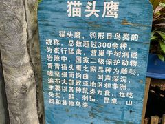 -青青世界