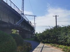 -永定河休闲森林公园