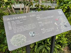 -云溪植物园