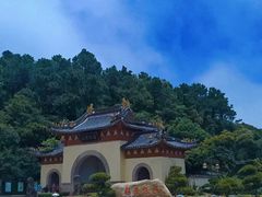 -枣子树·素食餐厅(普陀山店)
