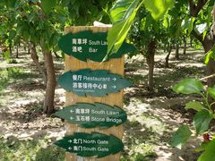 -御林古桑园