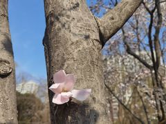 -白塘生态植物园