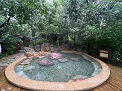 -天目湖涵田半山温泉