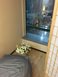-日本直营PURE专业脱毛中心