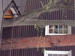 三鷹の森&nbsp;ジブリ美術館-三鹰之森吉卜力美术馆