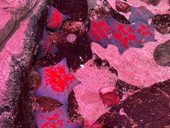 -沈阳海洋探索中心