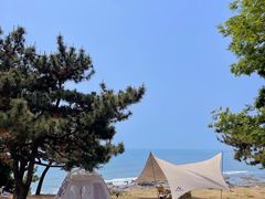 -青岛海景花园大酒店