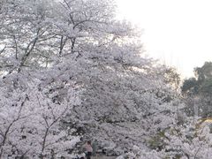 -杭州少年儿童公园
