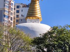 -护国法轮寺
