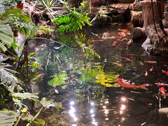 -聚缘堂·海鲜私房菜(松岭路店)