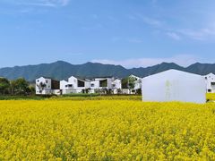 -东梓关景区村庄