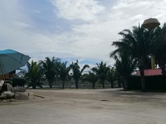 景点-东芭乐园