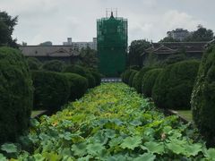 -四川大学(华西校区)