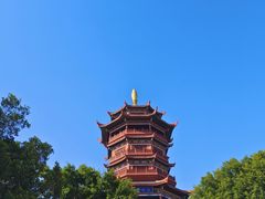 -厦门园林博览苑