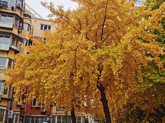 -星巴克臻选(北京太阳宫凯德店)