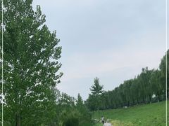-洨河生态公园