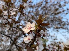 -蜀冈西峰生态公园