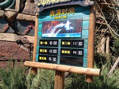 -哈尔滨波塞冬海底世界