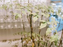-CUBIC3三立方咖啡(西岸凤巢店)