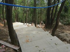 -火炉山森林公园