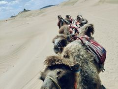 -银肯塔拉沙漠生态旅游景区
