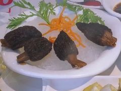 羊肚菌酿鱼鲜-廣順興(平原路店)