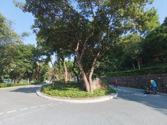 -炮台山公园