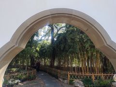 -西湖游船