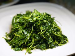 -协和菜馆(凤凰街店)