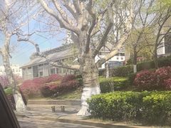 -鱼王府大酒店