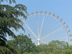 -石家庄市植物园