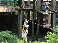 -梦幻奥陶纪景区