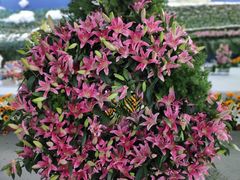 -沈阳国际会展中心管理有限公司