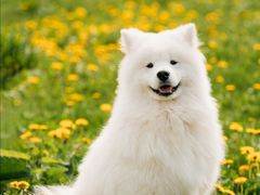 -中家鑫园温泉酒店鑫悦汤泉