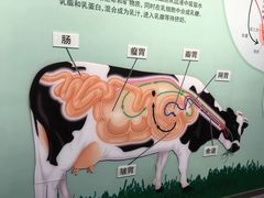 -君乐宝优致牧场