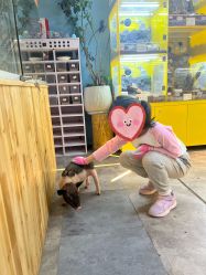 -神奇动物撸宠馆·羊驼·小浣熊·异宠(豫园店)
