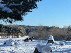-北极村旅游风景区